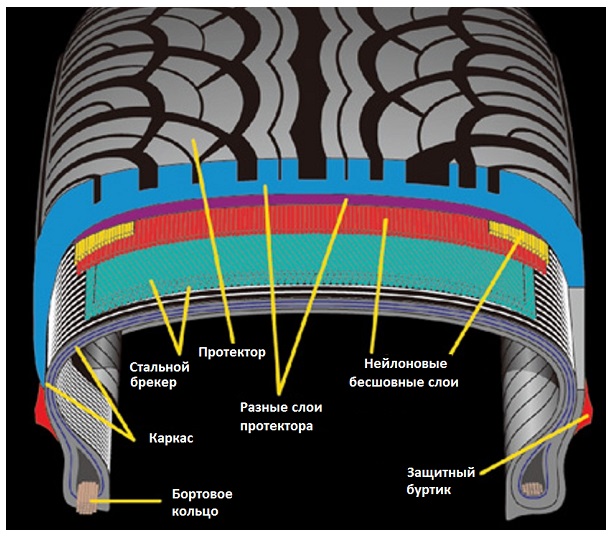 Шина в разрезе фото